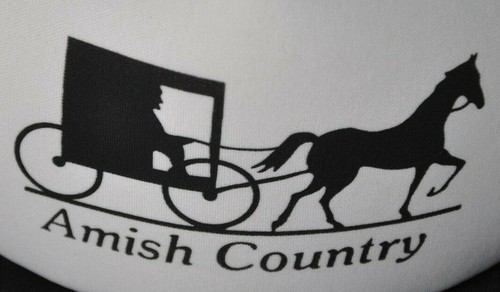 Amish country black white mesh - amish,