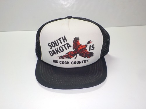 Vintage south dakota - south, big